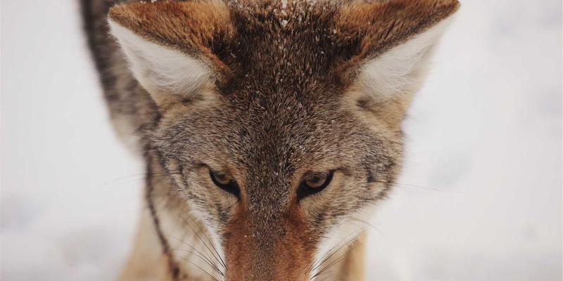 光影的诗篇:在天河音乐厅与剧院中,如何用镜头捕捉舞台艺术的灵魂瞬间