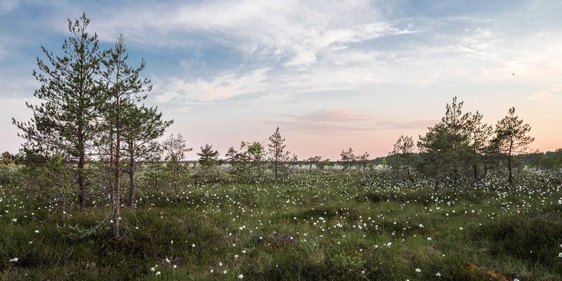 天河专业摄影器材选购指南:人像、婚纱与商业摄影的黄金配置方案