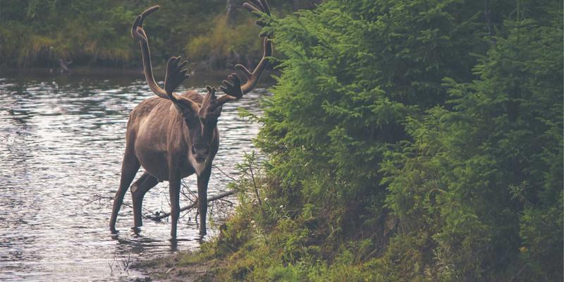 天河家庭纪实摄影：三代同堂的温馨日常，如何用镜头讲述生活美学？